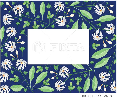 Frame of Nyctanthes Arbor-tristis or Night Flowering Jasmine Frame of Nyctanthes Arbor-tristis or Night Flowering Jasmine 86208191