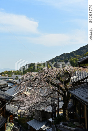 春の産寧坂 春の産寧坂 86208776