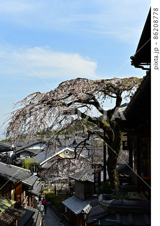 春の産寧坂 春の産寧坂 86208778