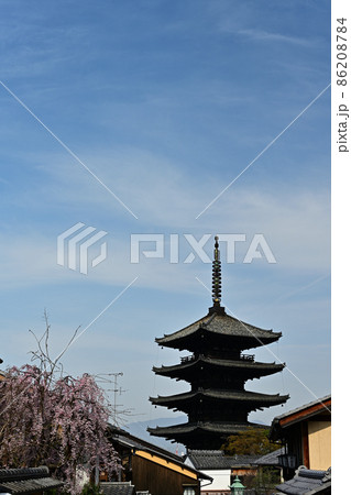 春の産寧坂 86208784