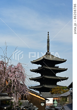 春の産寧坂 86208786