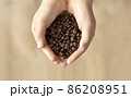 両手ですくい上げるコーヒー豆 86208951