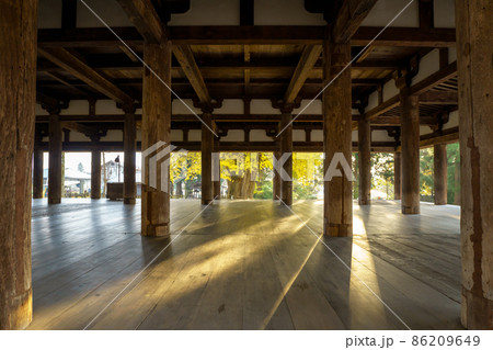 新宮熊野神社長床 紅葉 新宮熊野神社長床 紅葉 86209649