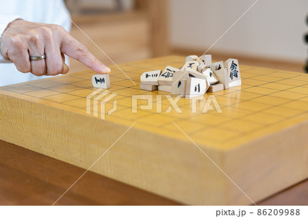 将棋の山くずしをして遊ぶシニア女性 将棋の山くずしをして遊ぶシニア女性 86209988