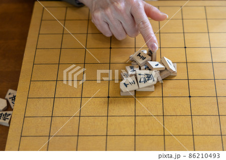 将棋の山くずしをして遊ぶシニア女性 86210493