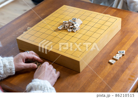 将棋の山くずしをして遊ぶシニア女性 将棋の山くずしをして遊ぶシニア女性 86210515