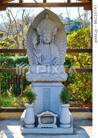 鎌倉　浄光明寺の楊貴妃観音 86210747