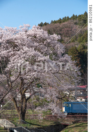 古木の桜の元を走るEF63 86210981