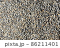 砂利　石　川の石 86211401