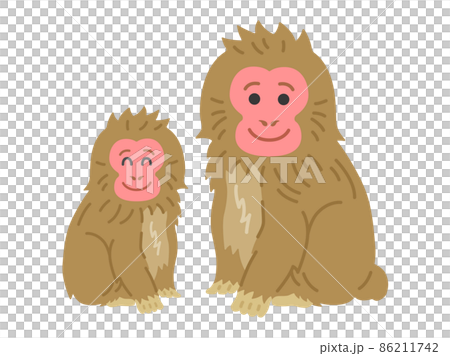 日本獼猴父母和孩子的插圖 日本獼猴父母和孩子的插圖 86211742