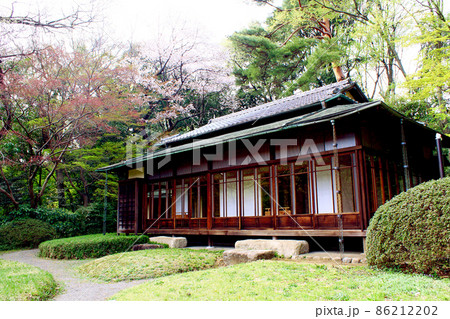 【東京】春の明治神宮御苑　桜と隔雲亭 86212202