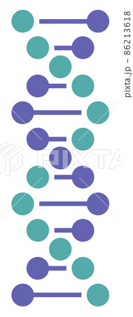 遺伝子のDNAを表現した螺旋状のイラスト 86213618