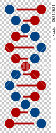 Spiral illustration representing the DNA of a gene Spiral illustration representing the DNA of a gene 86213621