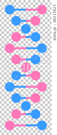 遺伝子のDNAを表現した螺旋状のイラスト 86213623