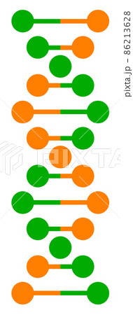 遺伝子のDNAを表現した螺旋状のイラスト 86213628