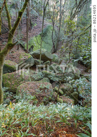 一刀石のある天石立神社　巨石が転がる参道脇の風景 86214695