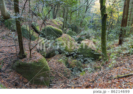 一刀石のある天石立神社 巨石が転がる参道脇の風景 一刀石のある天石立神社 巨石が転がる参道脇の風景 86214699