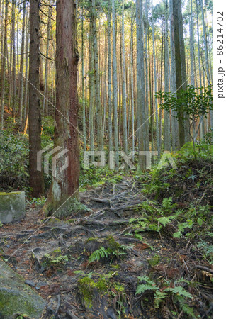 一刀石のある天石立神社 86214702