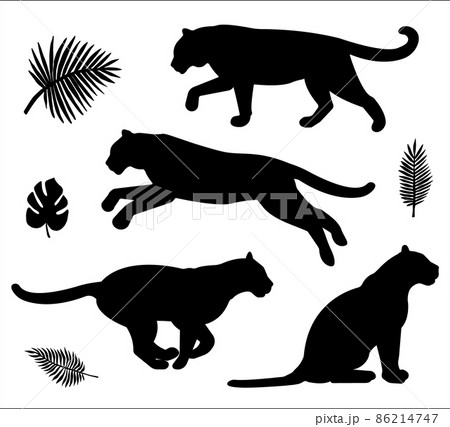 Vector set of tiger silhouette 86214747