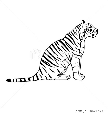 Vector flat sitting outline tiger 86214748