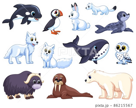 Arctic animals. Cartoon polar wolf, animal tundra. White bear and fox, cute cold seal. Winter isolated childish garish north pole characters 86215567