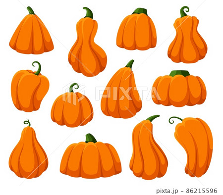 Cartoon pumpkins. Isolated pumpkin, autumn harvest fresh gourds. Happy halloween and thanksgiving time symbols, orange fall squash garish set 86215596