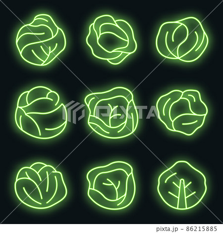Cabbage icons set vector neon 86215885
