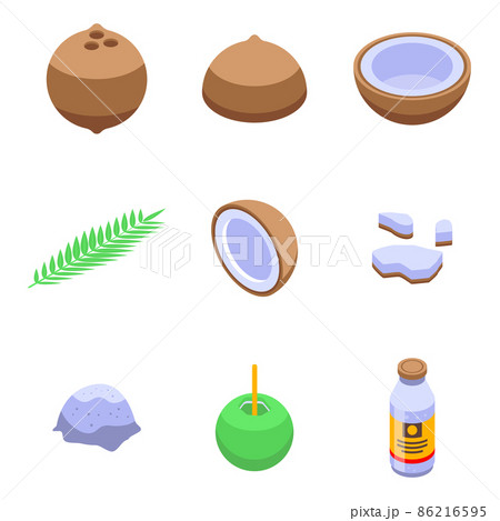 Coconut icons set, isometric style 86216595