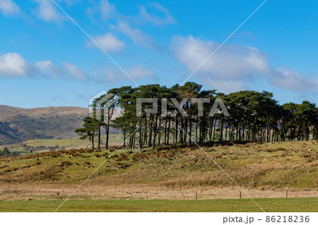 Sunny view of rural landscape Sunny view of rural landscape 86218236