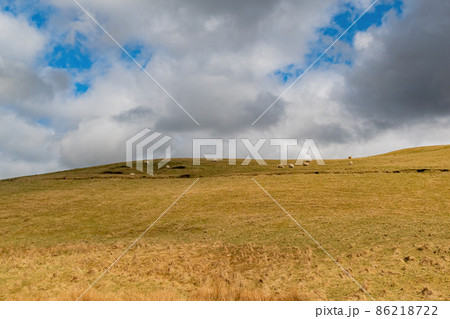 Sunny view of rural landscape Sunny view of rural landscape 86218722