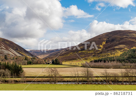 Sunny view of rural landscape Sunny view of rural landscape 86218731