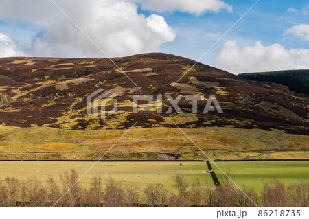 Sunny view of rural landscape Sunny view of rural landscape 86218735