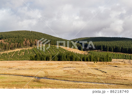 Sunny view of rural landscape Sunny view of rural landscape 86218740