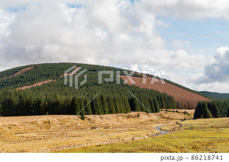 Sunny view of rural landscape Sunny view of rural landscape 86218741