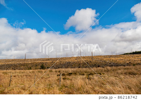 Sunny view of rural landscape Sunny view of rural landscape 86218742