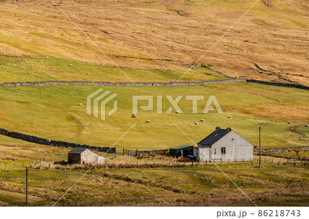 Sunny view of rural landscape Sunny view of rural landscape 86218743