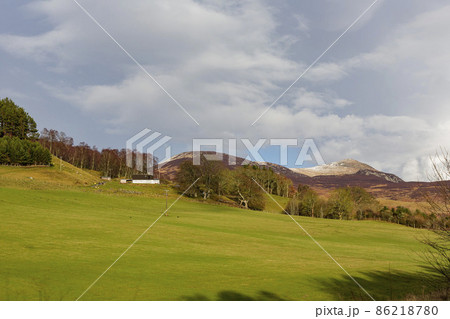 Sunny view of rural landscape Sunny view of rural landscape 86218780