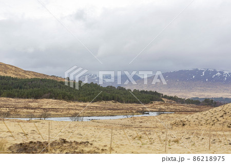 Overcast view of rural landscape Overcast view of rural landscape 86218975