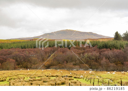 Overcast view of rural landscape Overcast view of rural landscape 86219185