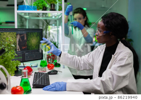 African american microbiologist researcher holding petri dish with liquid bacteria 86219940