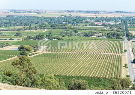 Winery in Barossa Valley in South Australia. 86220071