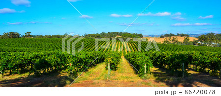 Winery in Barossa Valley in South Australia. 86220078