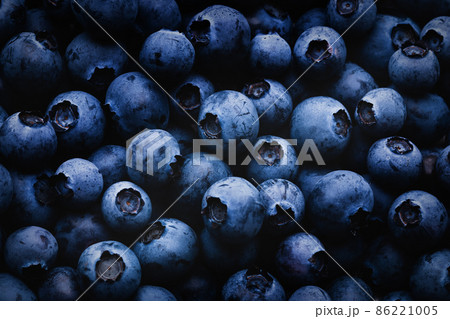 Blueberry dark background with shadows and light Blueberry dark background with shadows and light 86221005