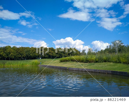 Summer landscape 86221469