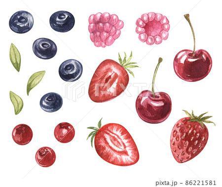 Watercolor set of juicu wild berries blueberries, raspberries, lingonberries, strawberries, blueberries, cherries. hand drawn illustration isolated. Art for cookbook, kitchen, dessert, menu cafe. 86221581