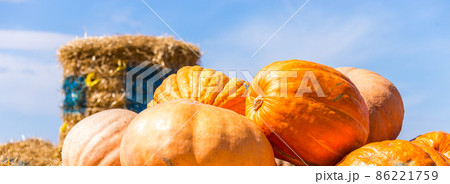 orange pumpkins at outdoor farmer market on straw 86221759