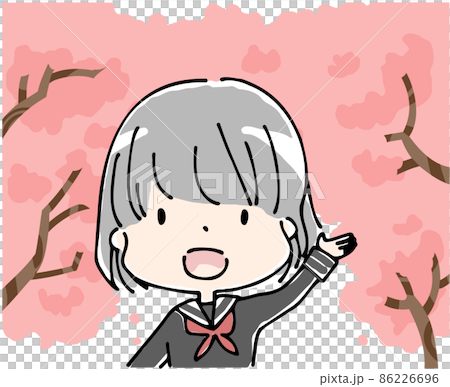 桜の木の下で笑顔で手をあげるセーラー服の女子学生 桜の木の下で笑顔で手をあげるセーラー服の女子学生 86226696