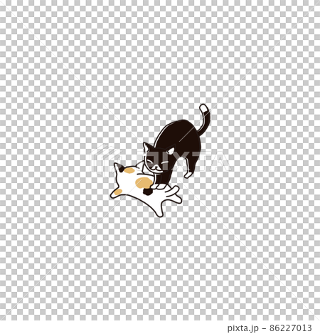 Cat Cat 86227013
