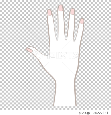 女人右手背 86227181