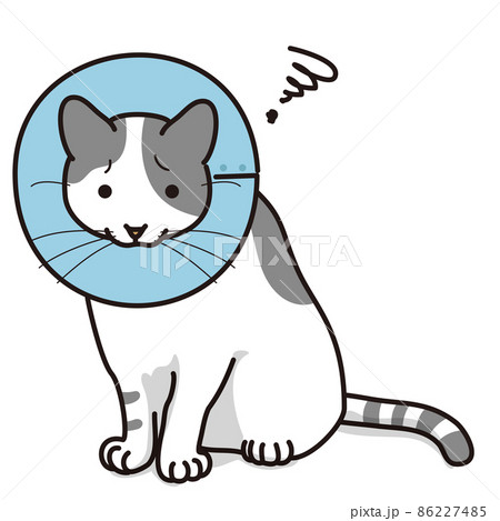 エリザベスカラーをつけた猫（毛色白グレー） 86227485